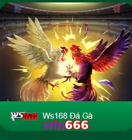 win666